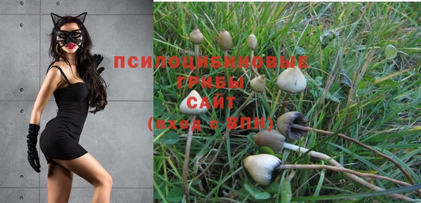 каннабис Алексеевка