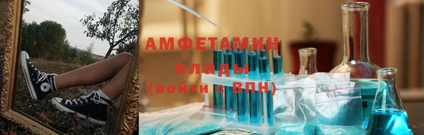 шишки Алексин