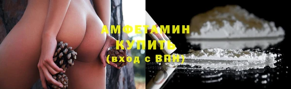 шишки Алексин