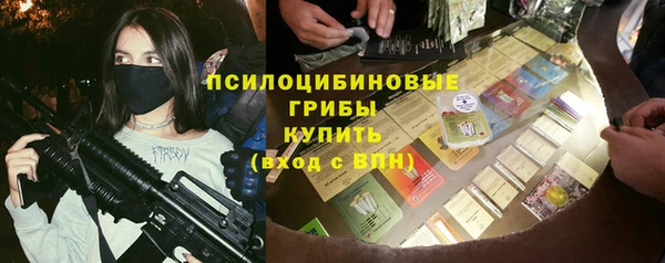 шишки Алексин