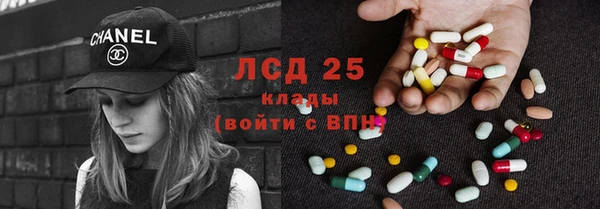 шишки Алексин