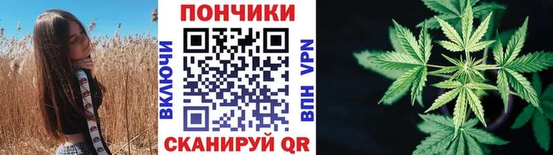 как найти   Красноярск  Шишки марихуана план 